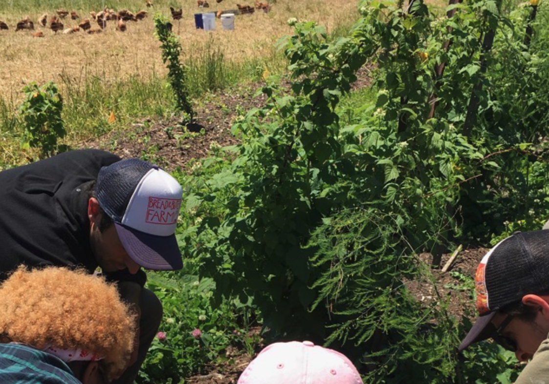Participatory Action Research (PAR) and Transdisciplinary Approaches to Agroecology, University of Vermont