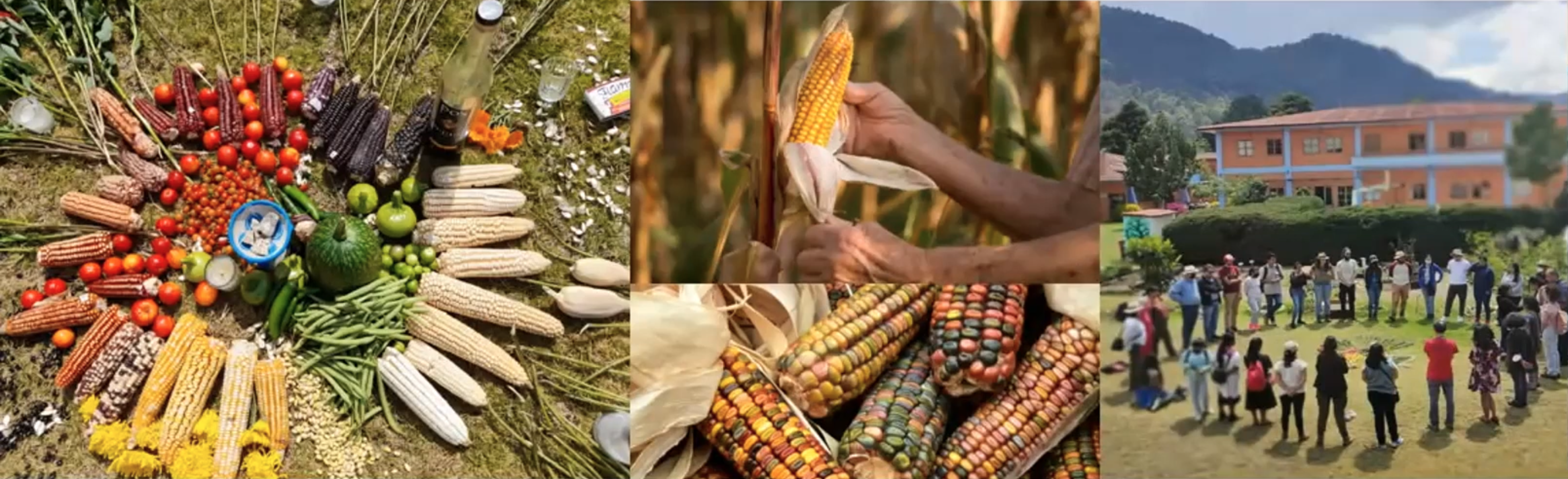 Let's EAT Seminario: Programa de Maestría en Agroecología